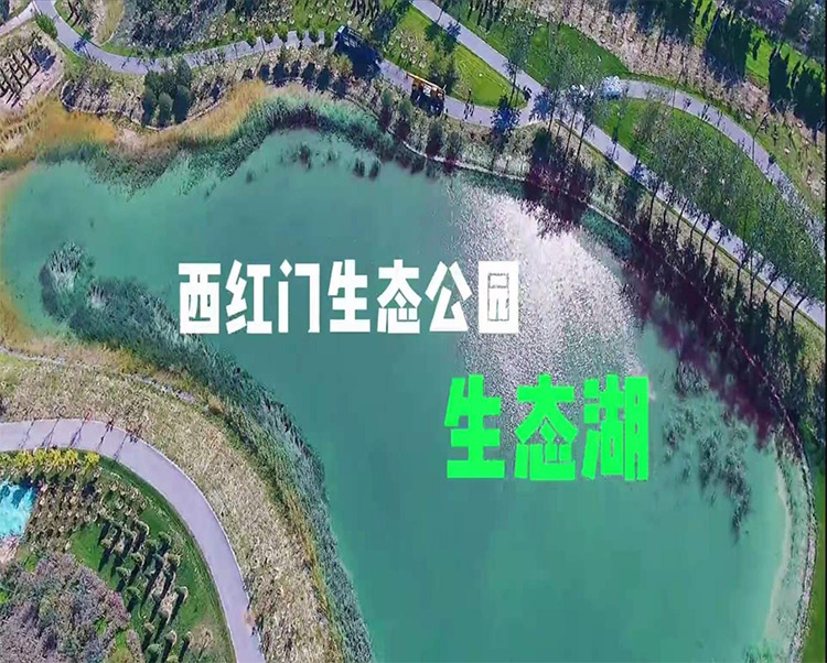 南宫集团(中国区)有限公司官网