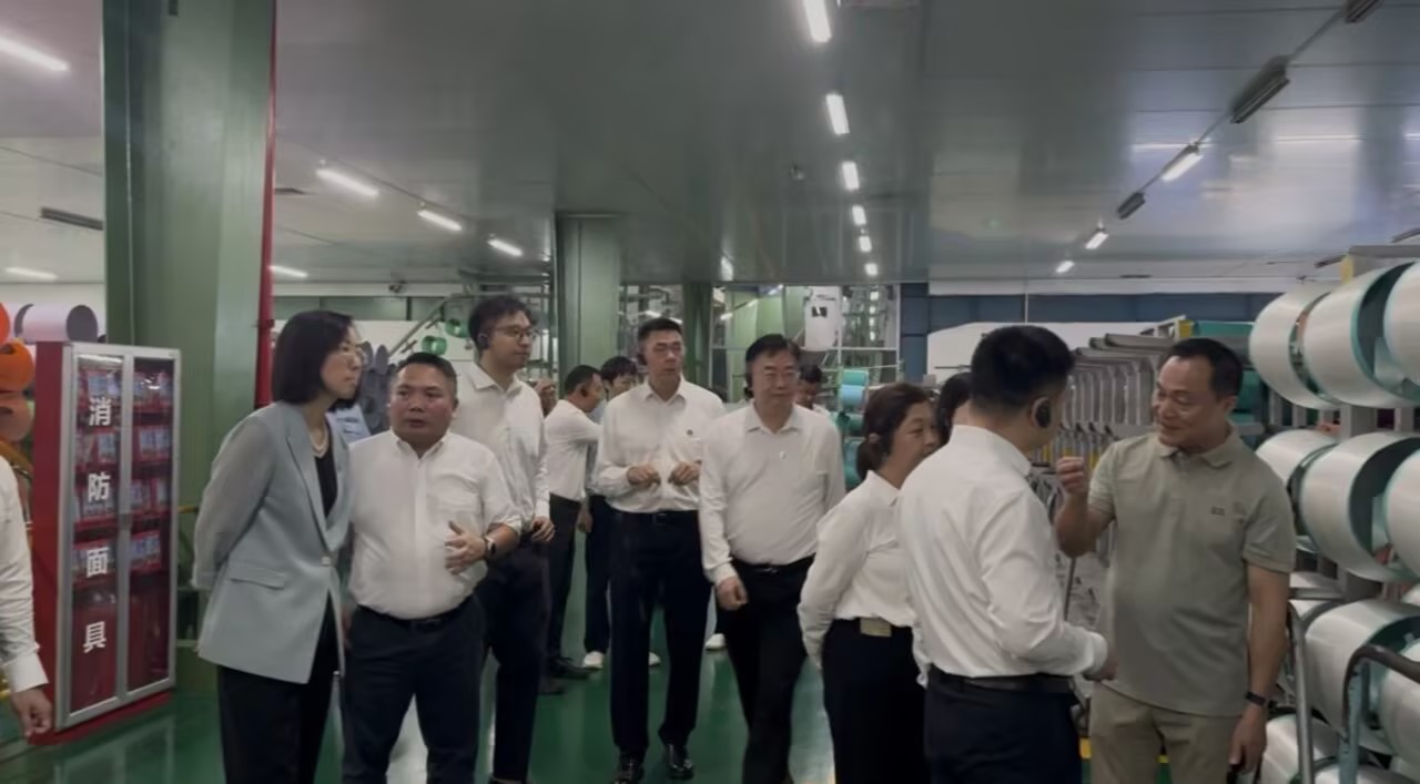 6 图片